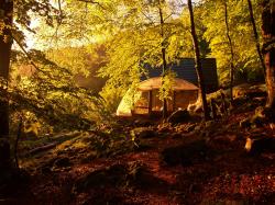 coucher de soleil sur la cabane, le brame du cerf rettentit au fond des bois